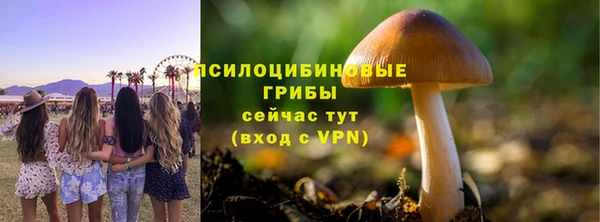 2c-b Киренск
